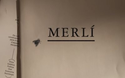 Merlí, a série que TODOS deveriam assistir