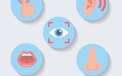 Marketing Sensorial: quais os 5 sentidos da sua marca?