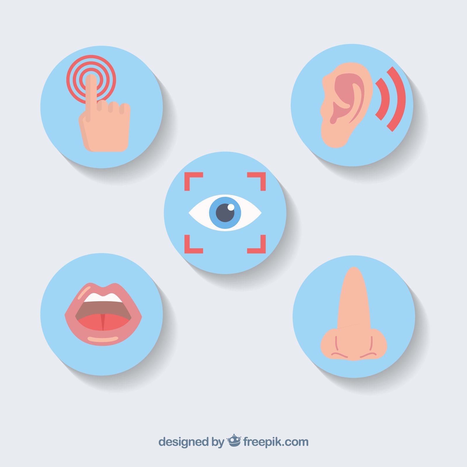 Marketing sensorial quais os 5 sentidos da sua marca vila criativa